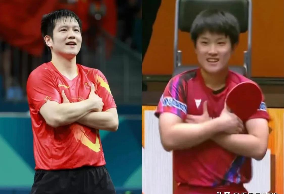 中国乒乓球队轻取比利时乒乓球队，张本智和统治全场的简单介绍