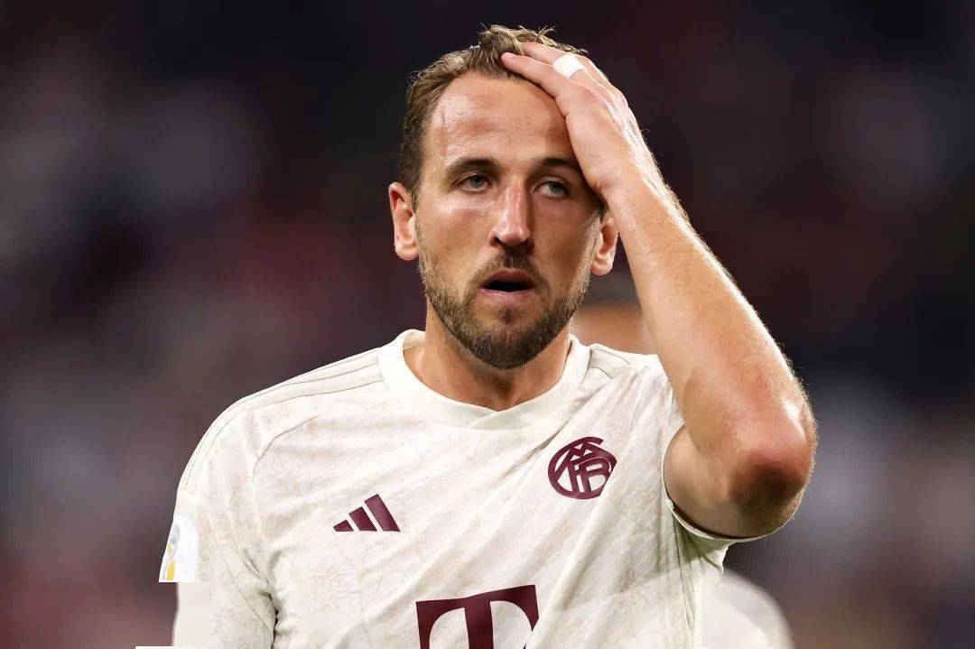 包含加拿大爆冷智利，哈里·凯恩高光表现的词条