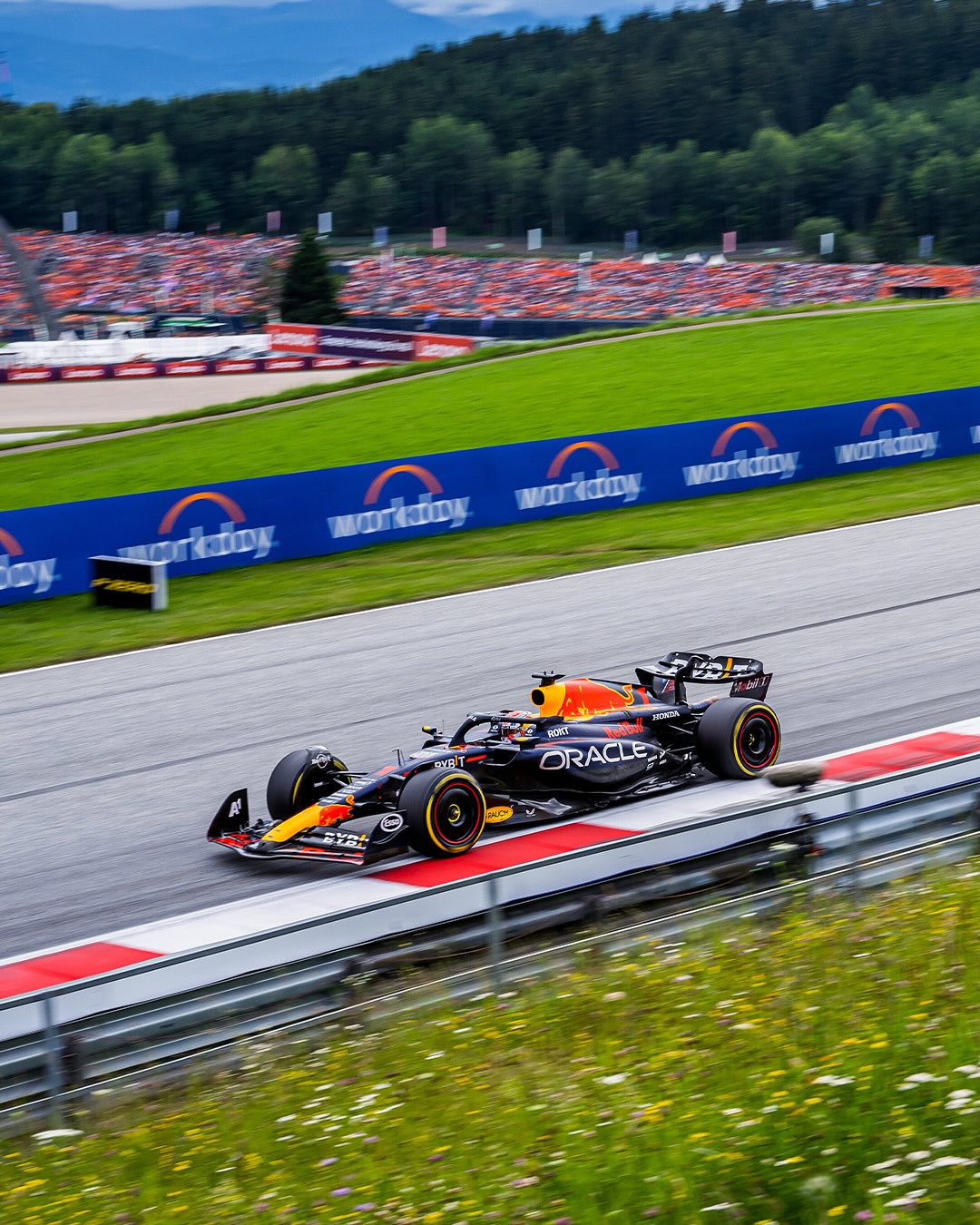 关于赛车总决赛即将打响，冠军归属成谜的信息