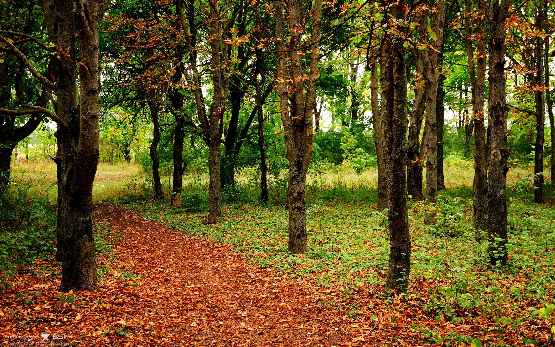 红土史诗,蒙特卡洛绝境逆转与戴维斯杯铁血征程,纳达尔双重战场刷新时代纪录