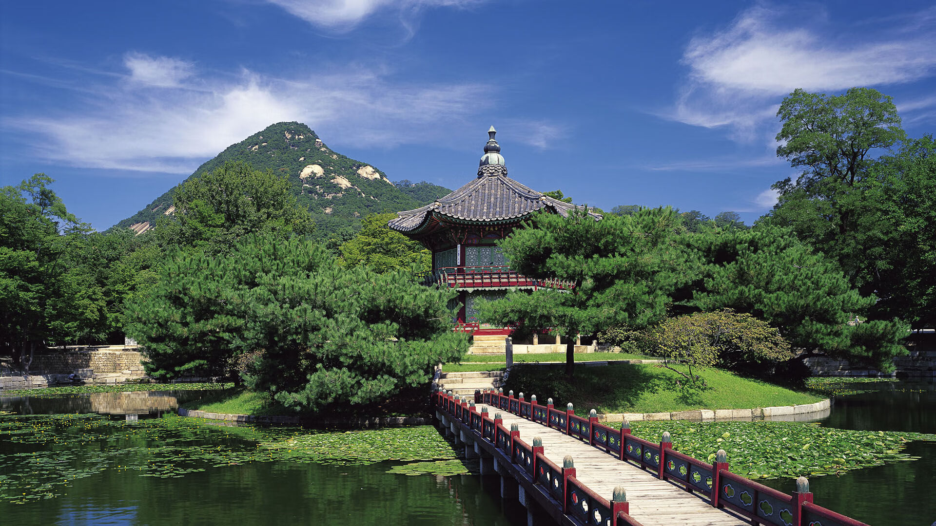 永不沉没的弯刀，迪马利亚扛起韩国队逆转乌克兰的黑夜