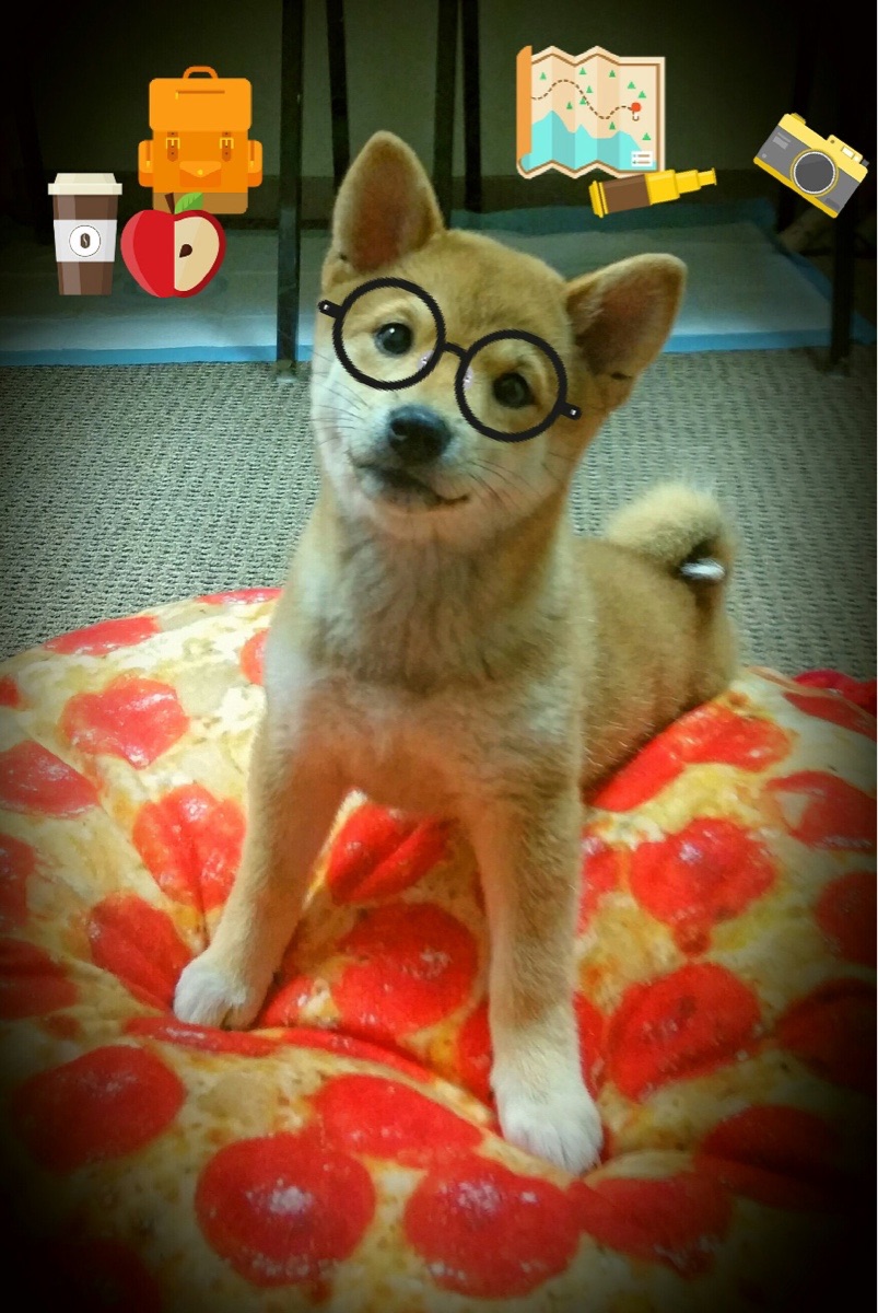 跨越阿尔卑斯的咆哮，努涅斯一击刺穿马赛心脏