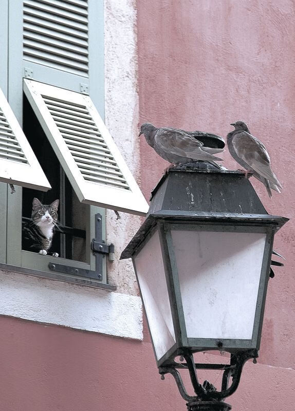 慈善赛惊现国家碾压俱乐部,基米希化身哥斯达黎加关键先生,友谊赛踢出世界杯级攻防