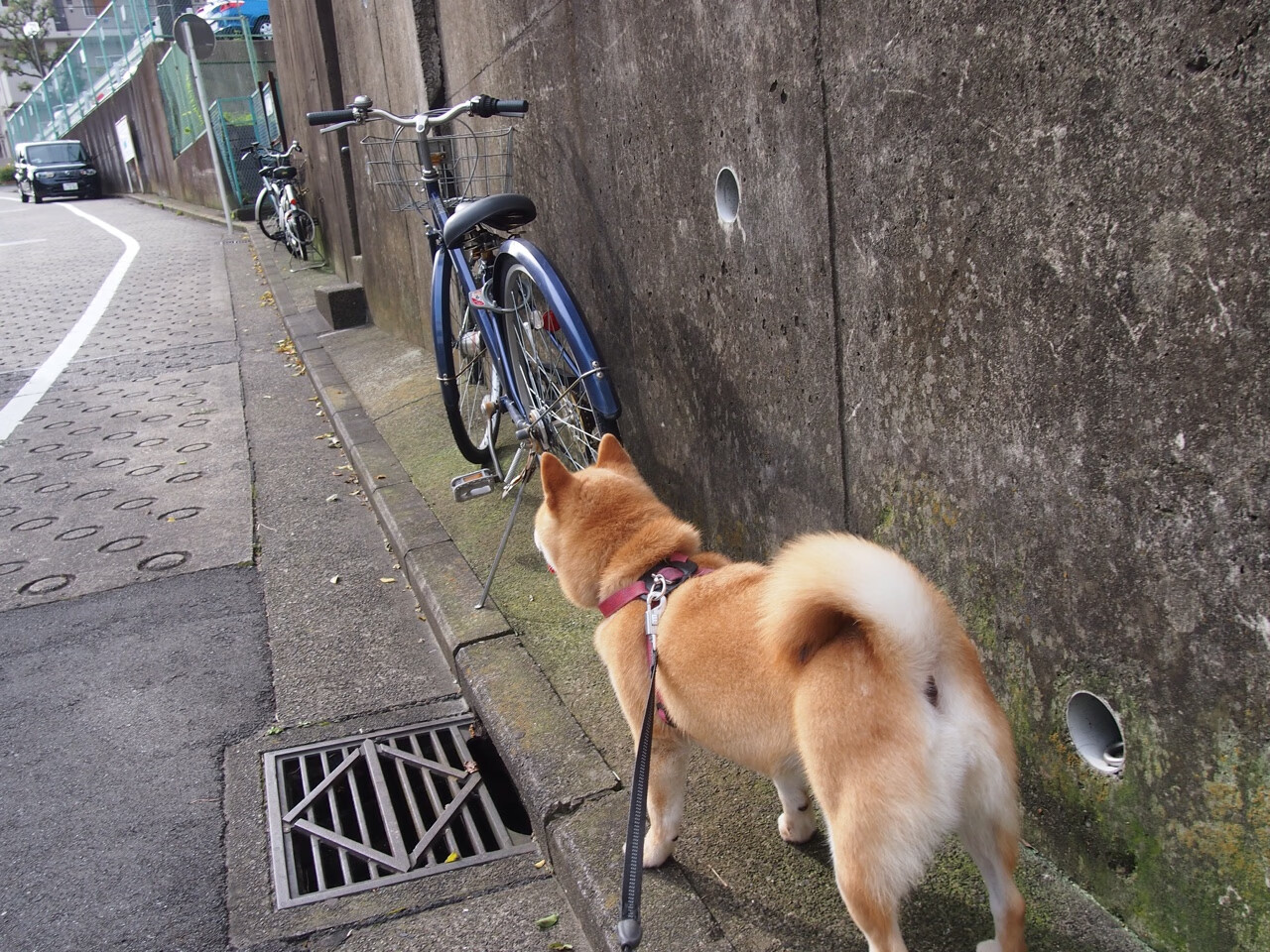 东方巫师撕裂蓝月防线，三分彩虹横跨曼市争冠夜