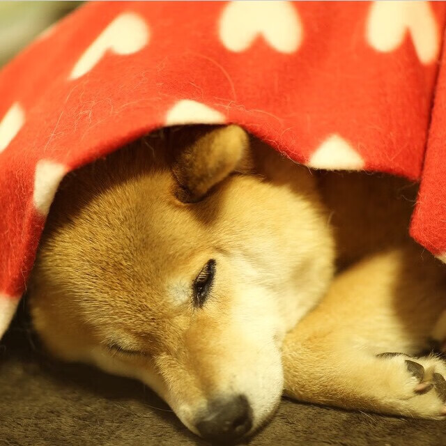 天堑与飞翼,莫兰特撕裂防线,老鹰振翅击沉快船