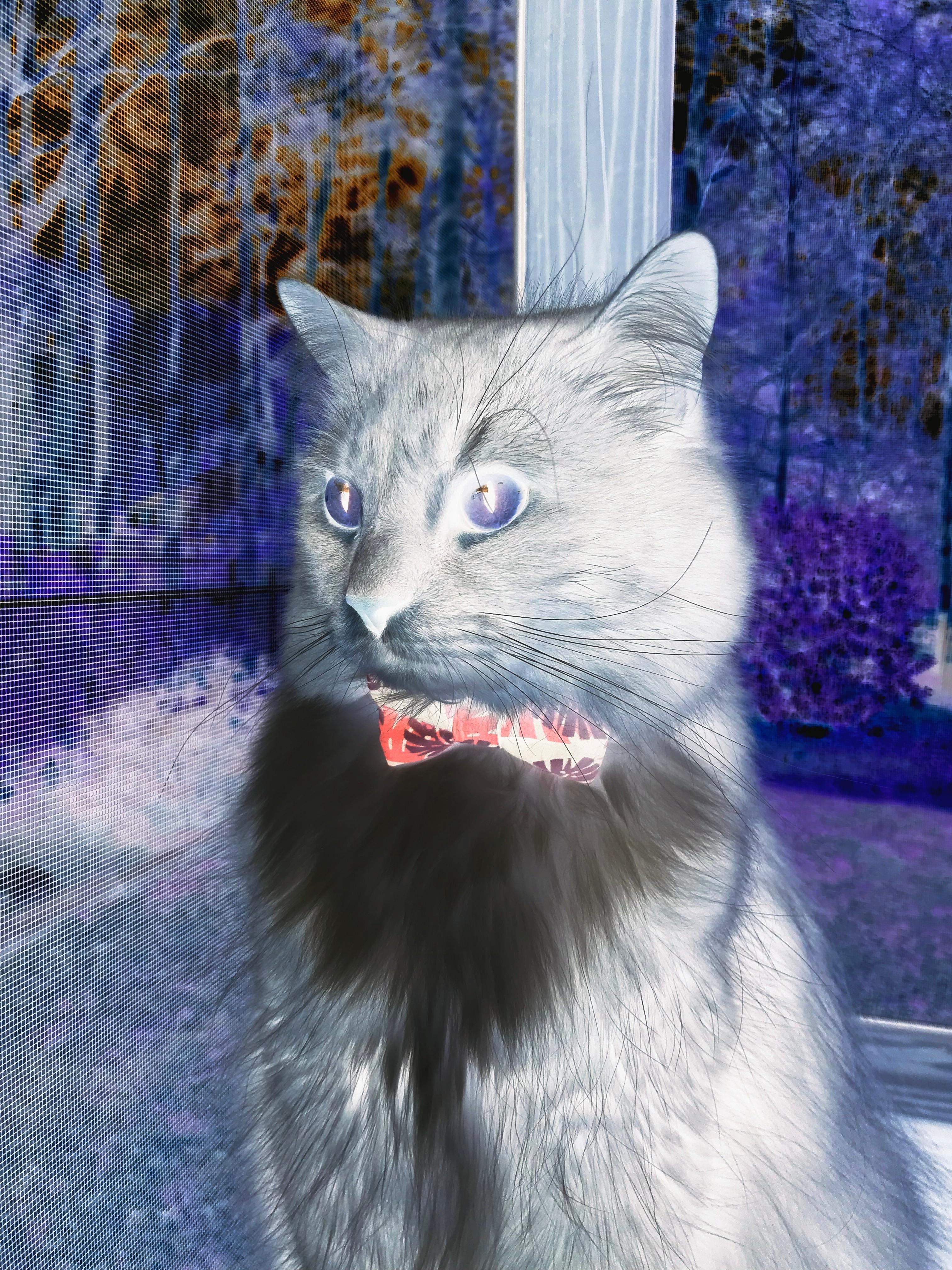 孤舟渡江,猛龙过境,当范弗利特化身船长制霸山西江湖