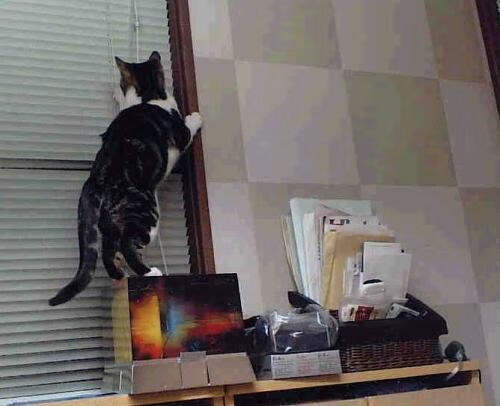 太阳淘汰活塞那夜，约基奇在更衣室转动了地球仪