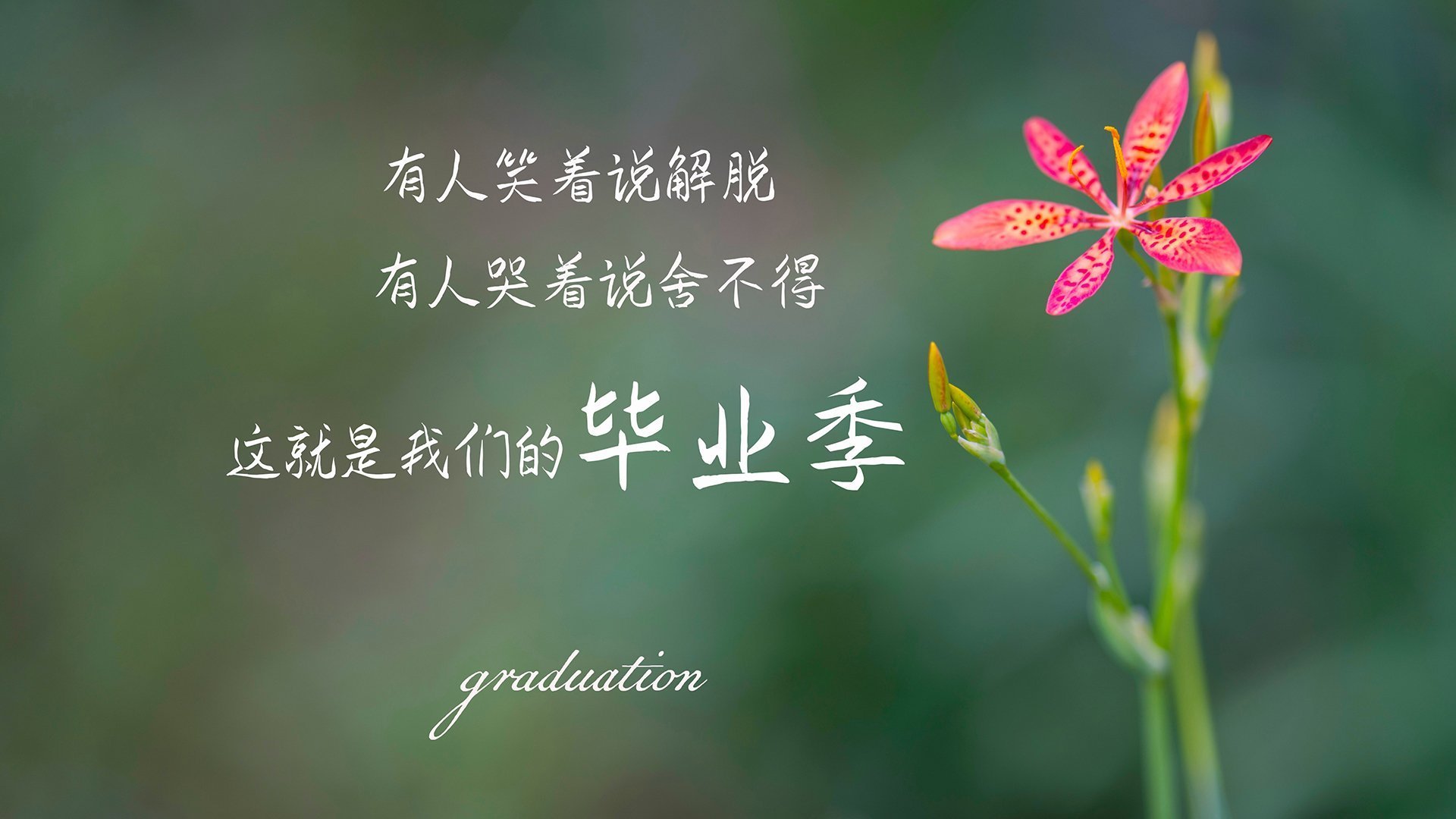 南美生死局,当齐耶赫的魔幻左脚撕开钢铁防线,哥伦比亚在悬崖边写就唯一答案
