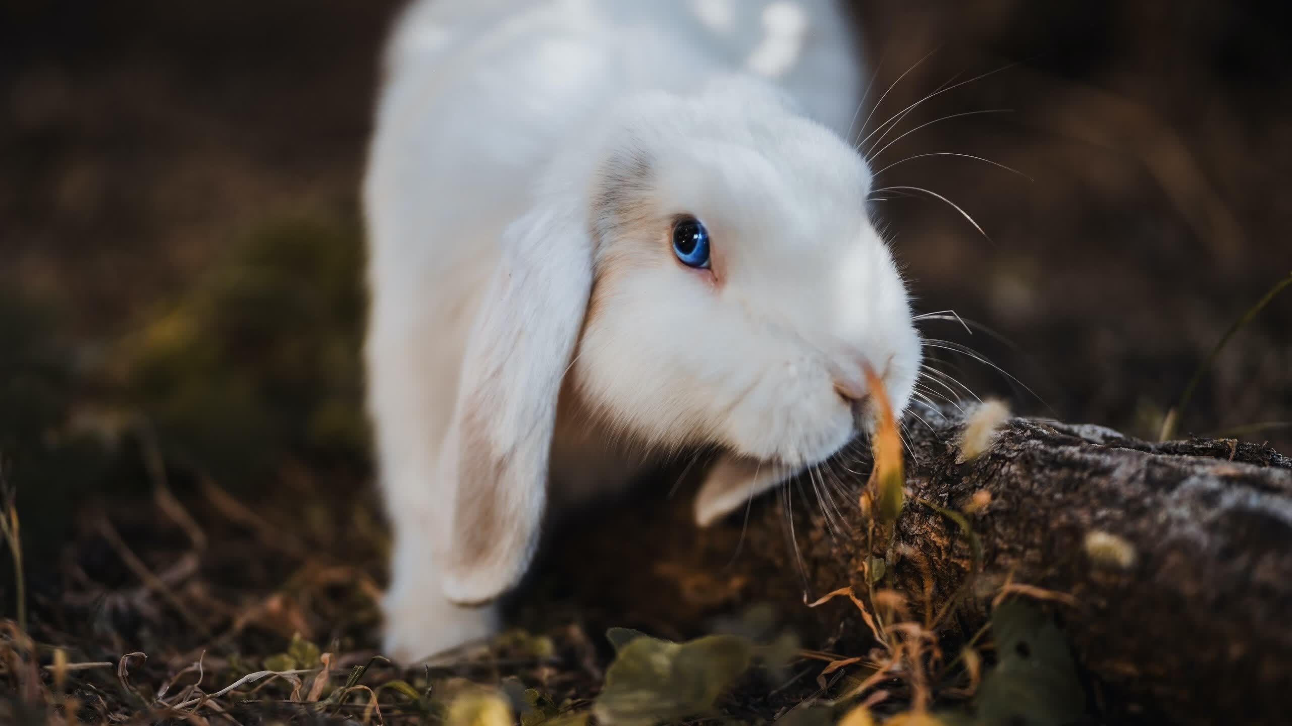推荐