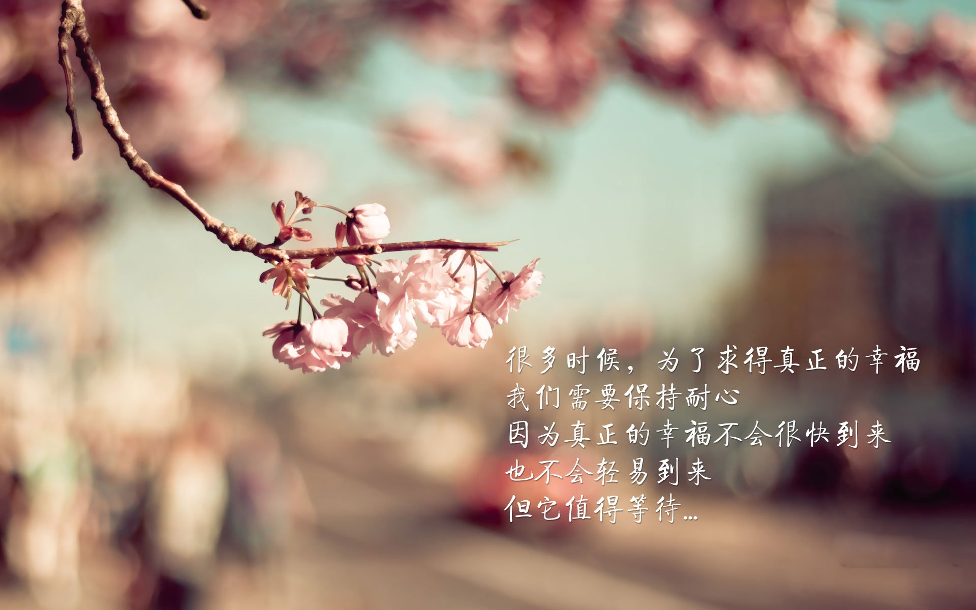 蓝黑军魂的加勒比海之歌，布罗佐维奇引领克罗地亚风暴，加纳大胜泰国书写E组唯一剧本