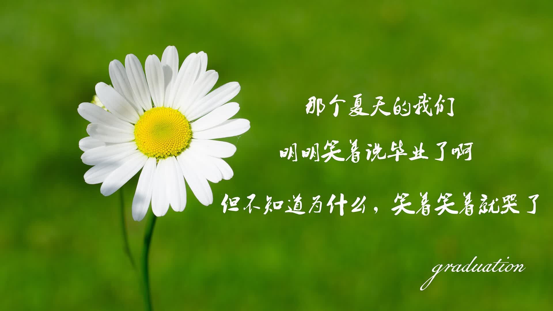 无声的闪电，2026世界杯C组，匈牙利如何用阿方索·戴维斯撕碎喀麦隆的防线