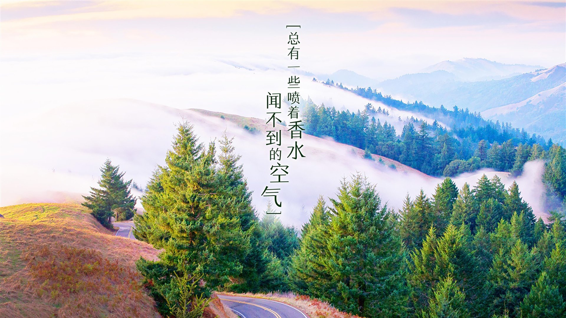 蓝刃破晓，2026世界杯C组焦点战，匈牙利以铁血纪律瓦解日本，奥斯梅恩一人定义比赛